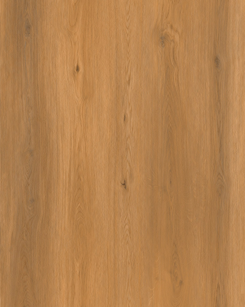 SV008