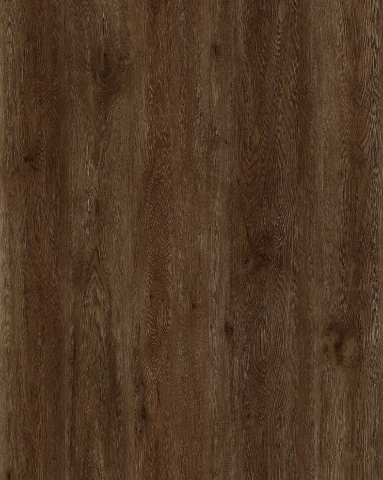 SV011